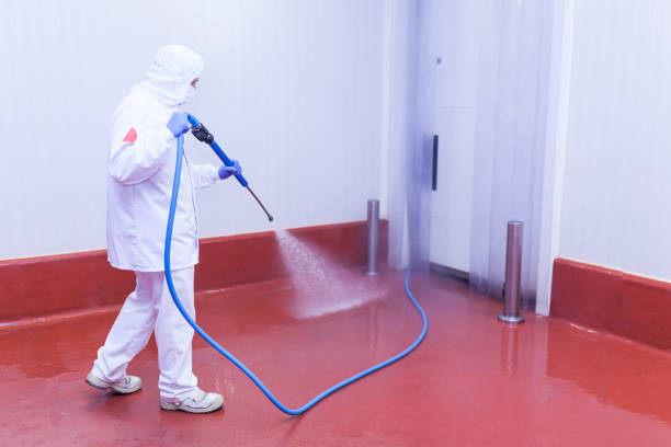 Best Rust Removal  in Northfield, NJ
